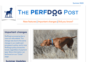 PerfDog Summer 2020 newsletter screenshot