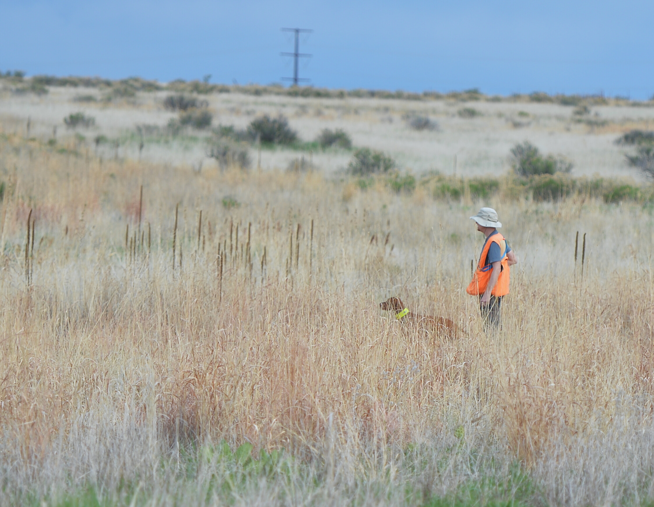 Rod and Race in a field